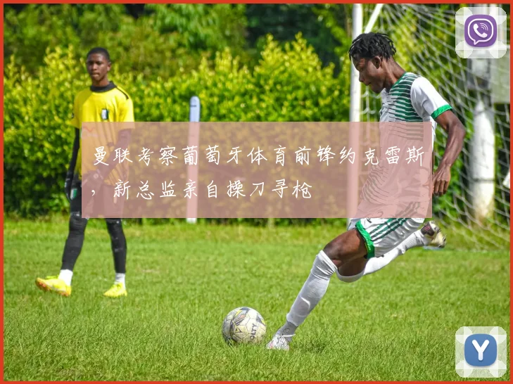 曼联考察葡萄牙体育前锋约克雷斯,新总监亲自操刀寻枪
