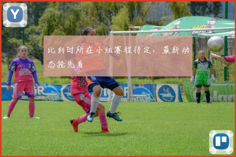 比利时所在小组赛程待定，最新动态抢先看